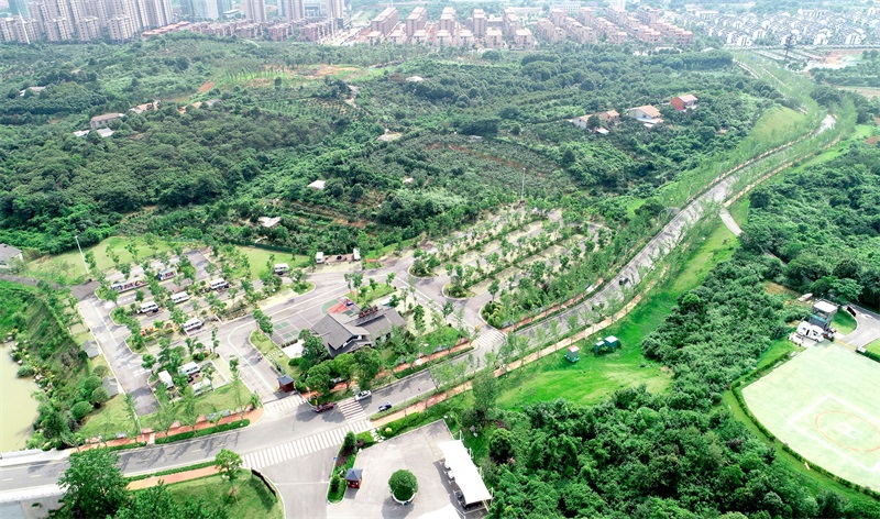 岳阳市南湖风景区道路